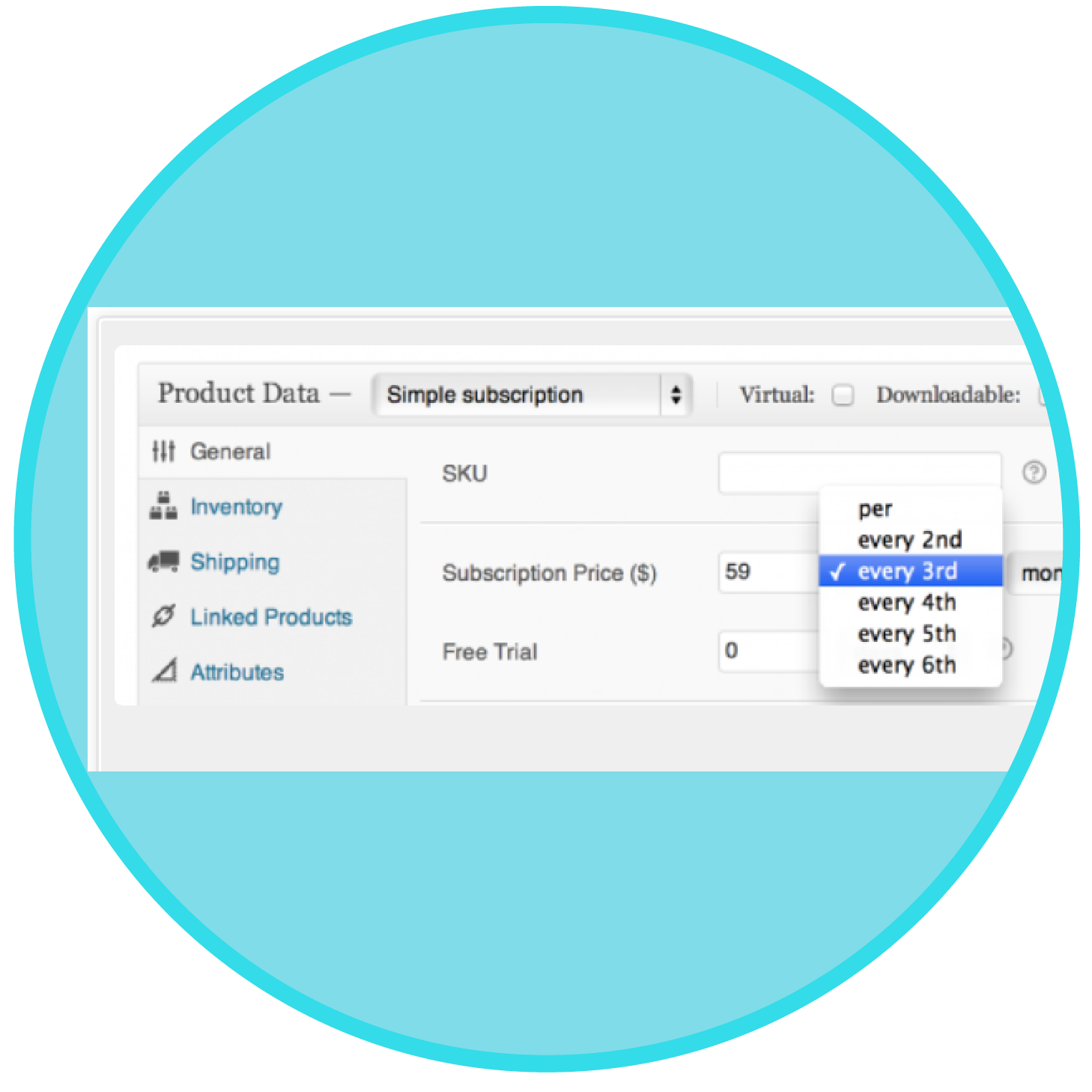 WooCommerce Subscriptions Plugin Download For 160 WooCommerce Subscriptions Plugin Download For 160