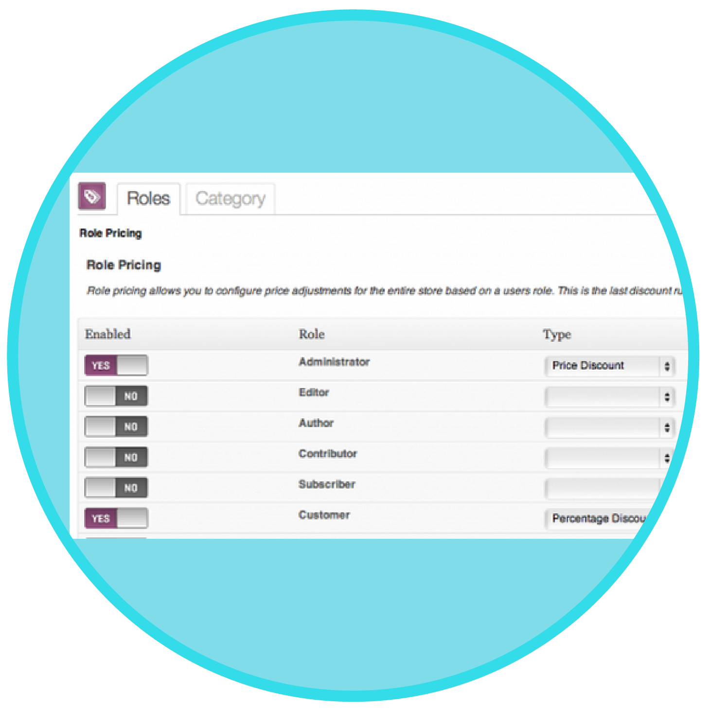 WooCommerce Dynamic Pricing Plugin Download For 72