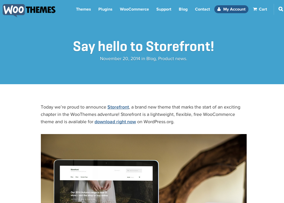 Premium WordPress Storefront Add-Ons Tools - Andy Sozot