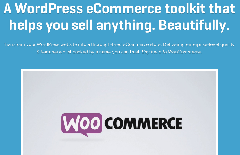 woocommerce-support